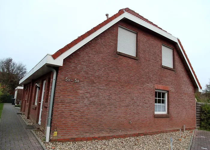 Seerobbe Norddeich 