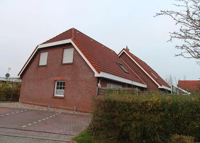 Seerobbe Norddeich 
